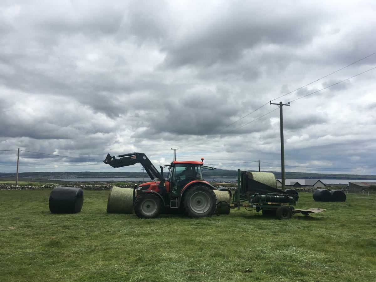 Bed & Breakfast Conway's With Sea View Nestling By Cliffs-of-moher
